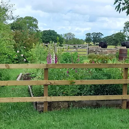 The Roost * Carlisle (Cumbria)