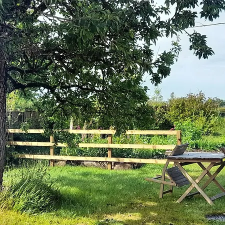 The Roost Holiday home