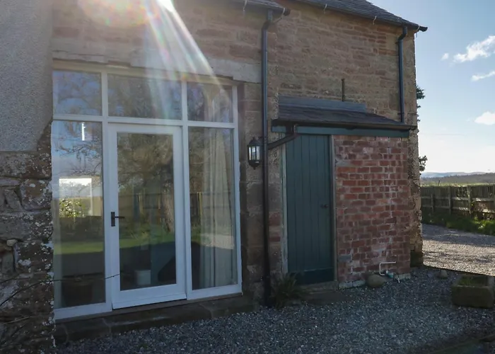 The Roost كارلايل