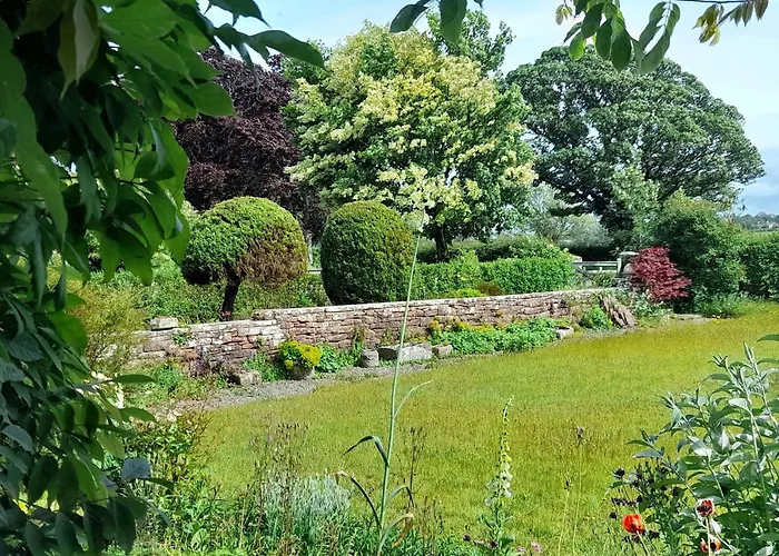 The Roost * كارلايل