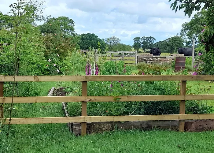 The Roost * كارلايل